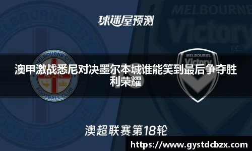 澳甲激战悉尼对决墨尔本城谁能笑到最后争夺胜利荣耀